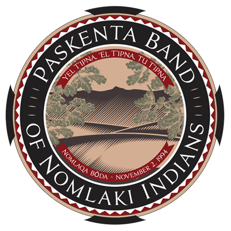 Complex Logo Before Digitizing