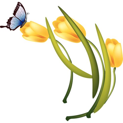 Untitled 5 Thumbnail