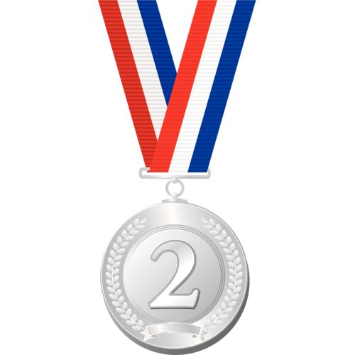 Ribbons   Bows18 Thumbnail