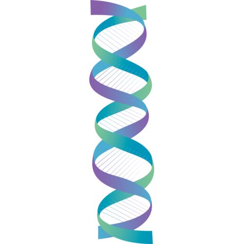 Geometric1 Thumbnail