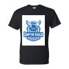 DryBlend® T-Shirt Thumbnail