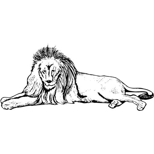 Lion Thumbnail