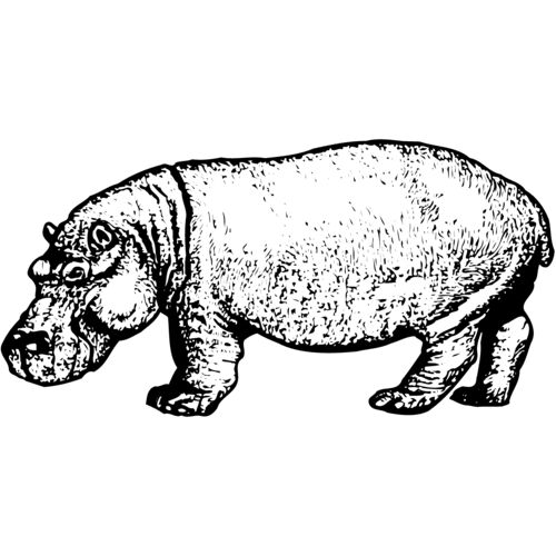 Hippo Thumbnail