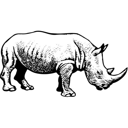 Rhino Thumbnail