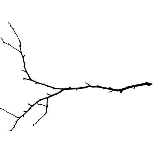 Branches Thumbnail